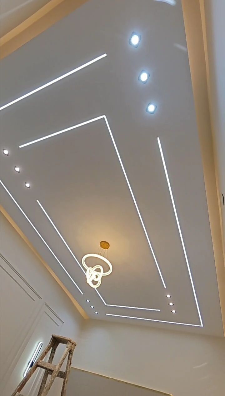 Projet Cloisons & Faux Plafonds